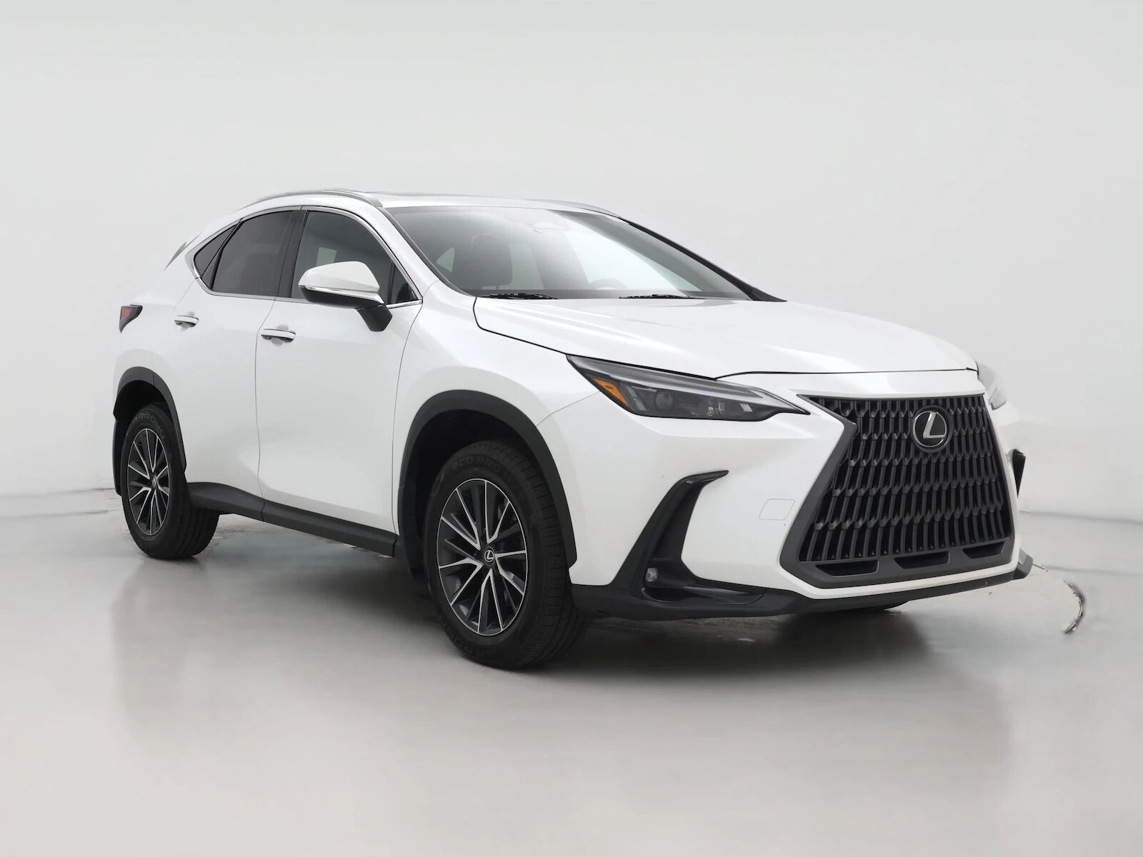 2024 LEXUS NX