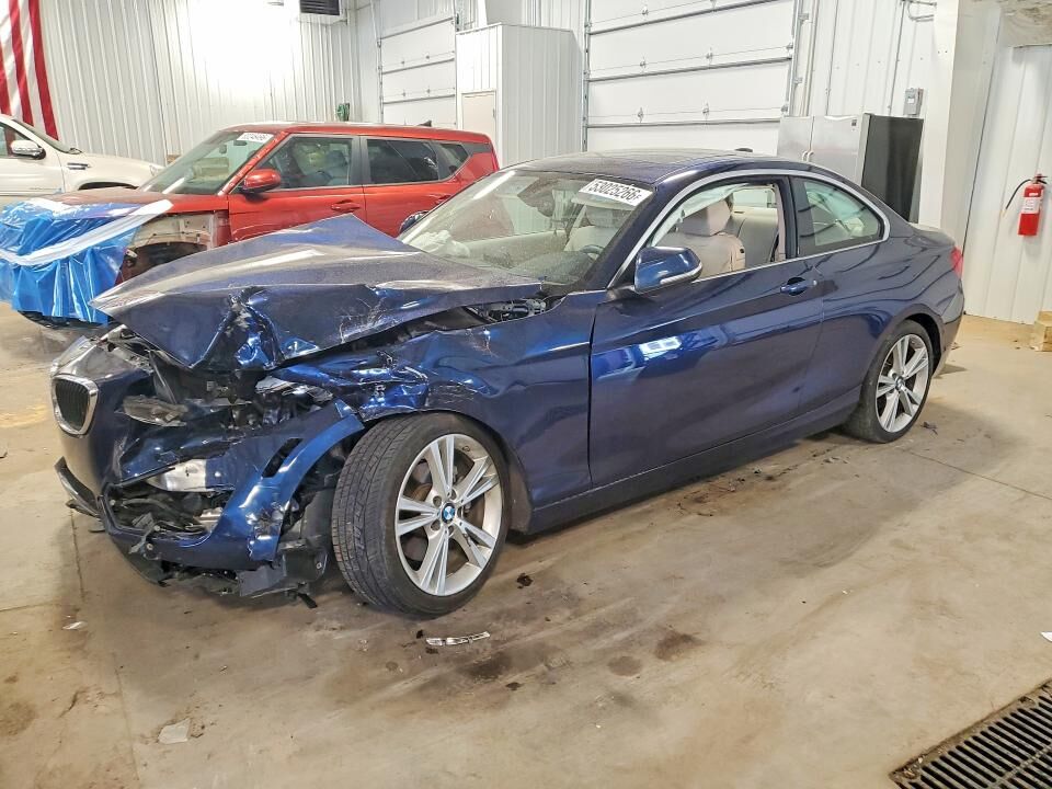 2015 BMW 2 Series