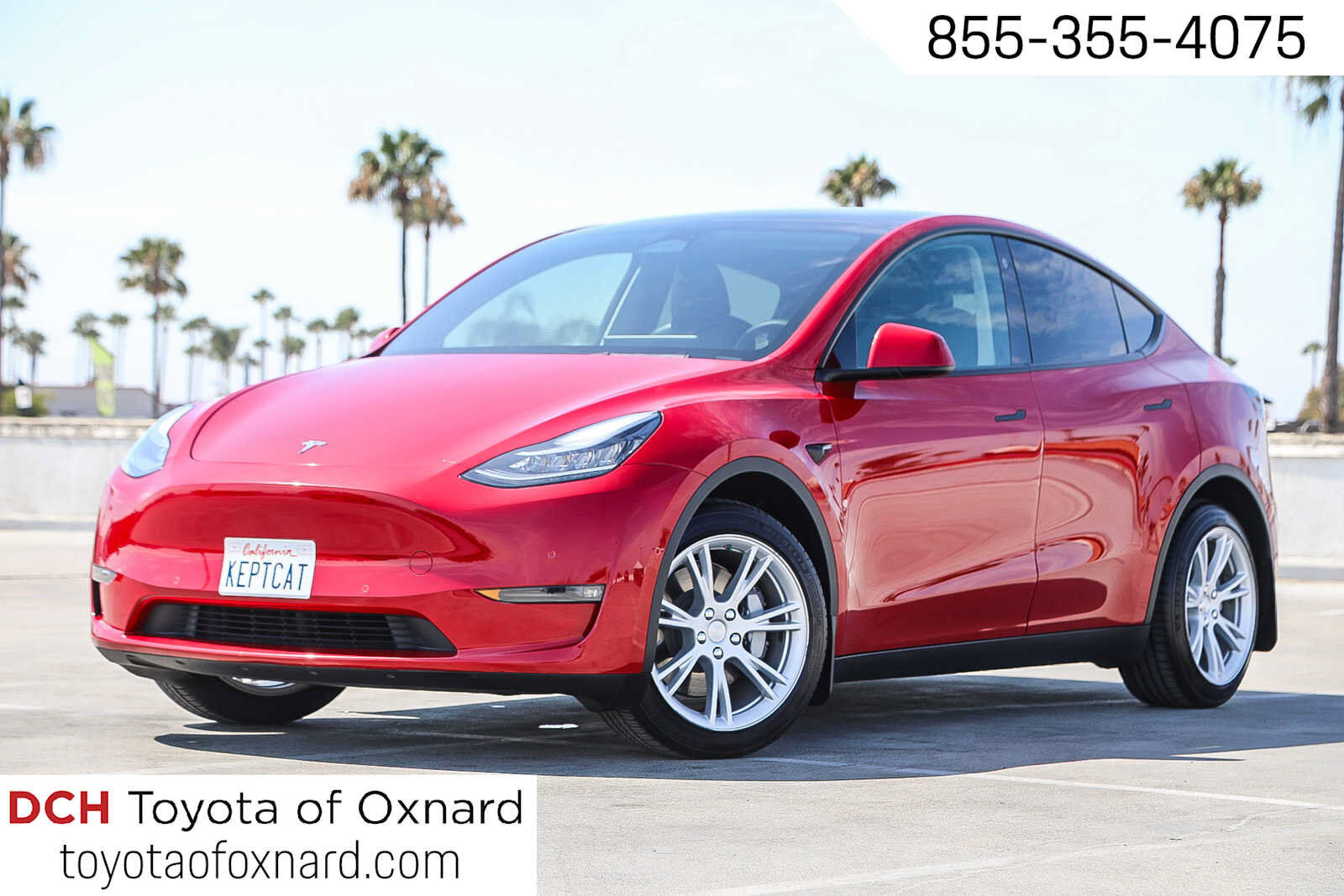 2021 TESLA Model Y