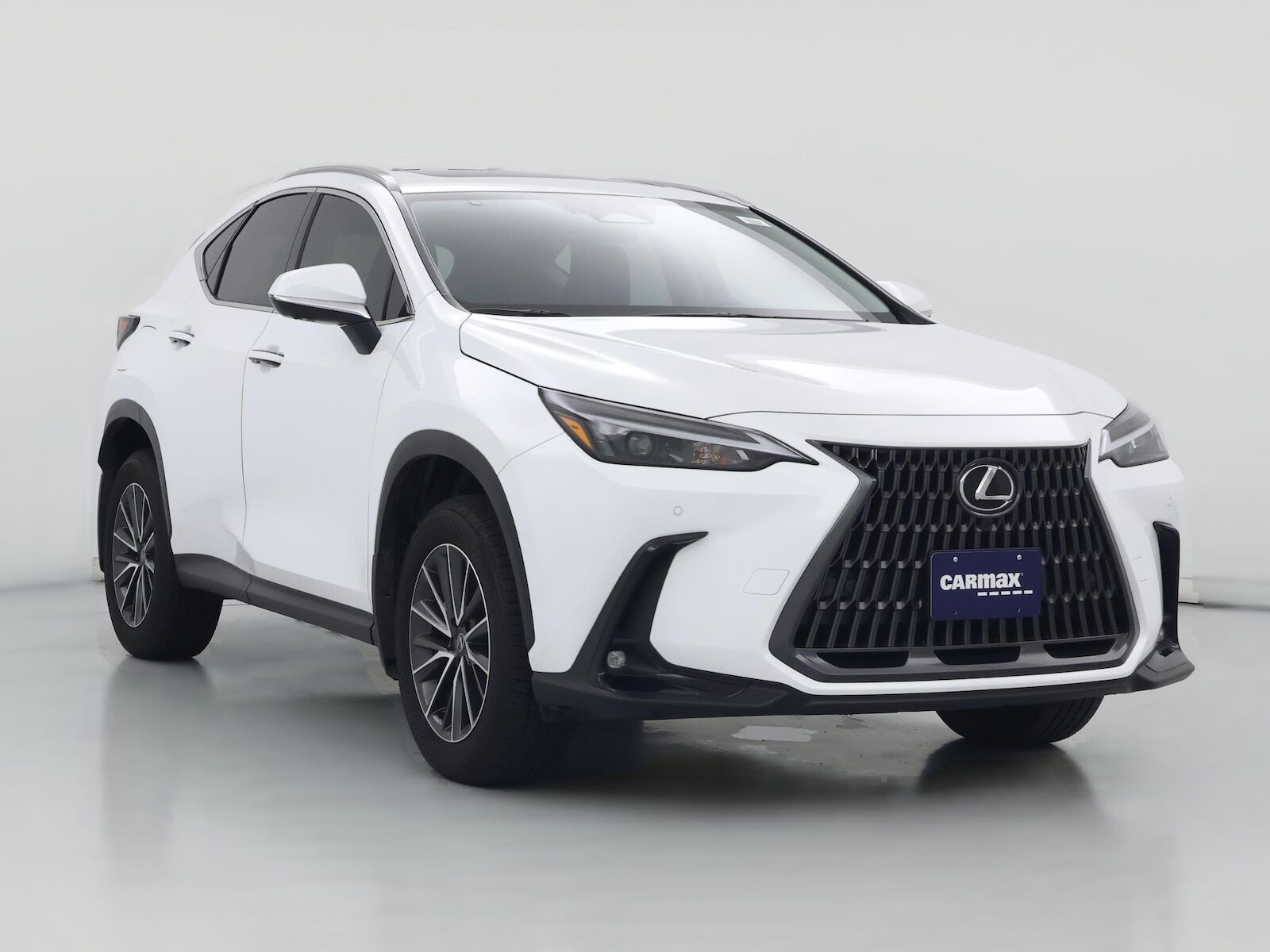 2026 LEXUS NX