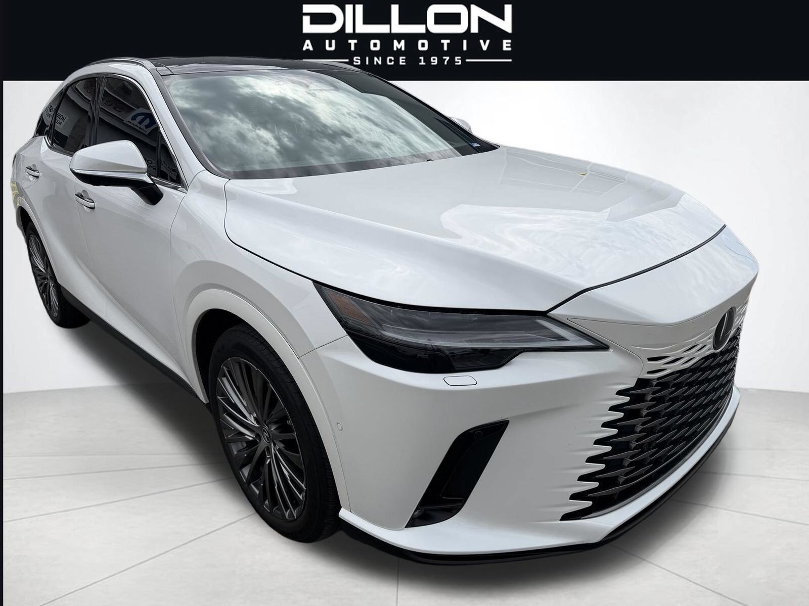 2024 LEXUS RX