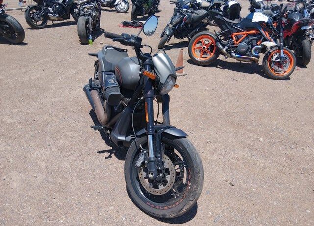 2019 HARLEY DAVIDSON FXDRS / FXDR 114