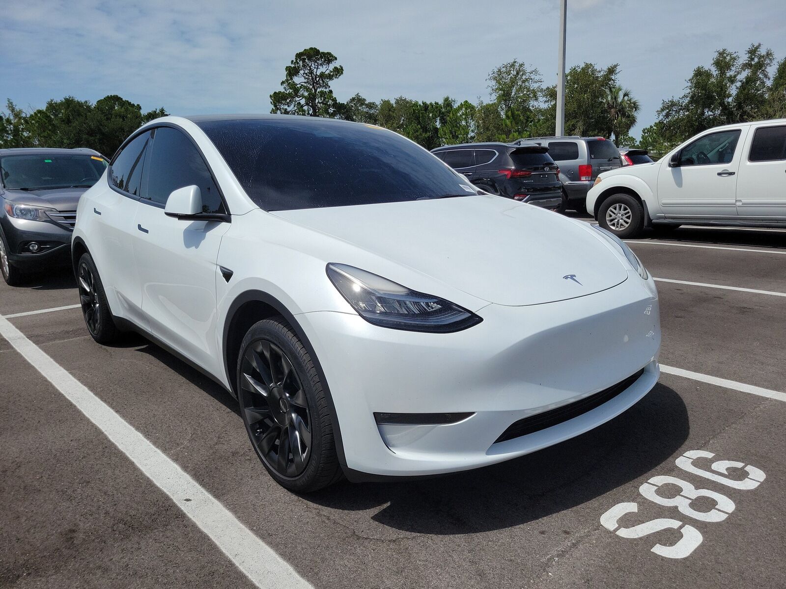 2023 TESLA Model Y