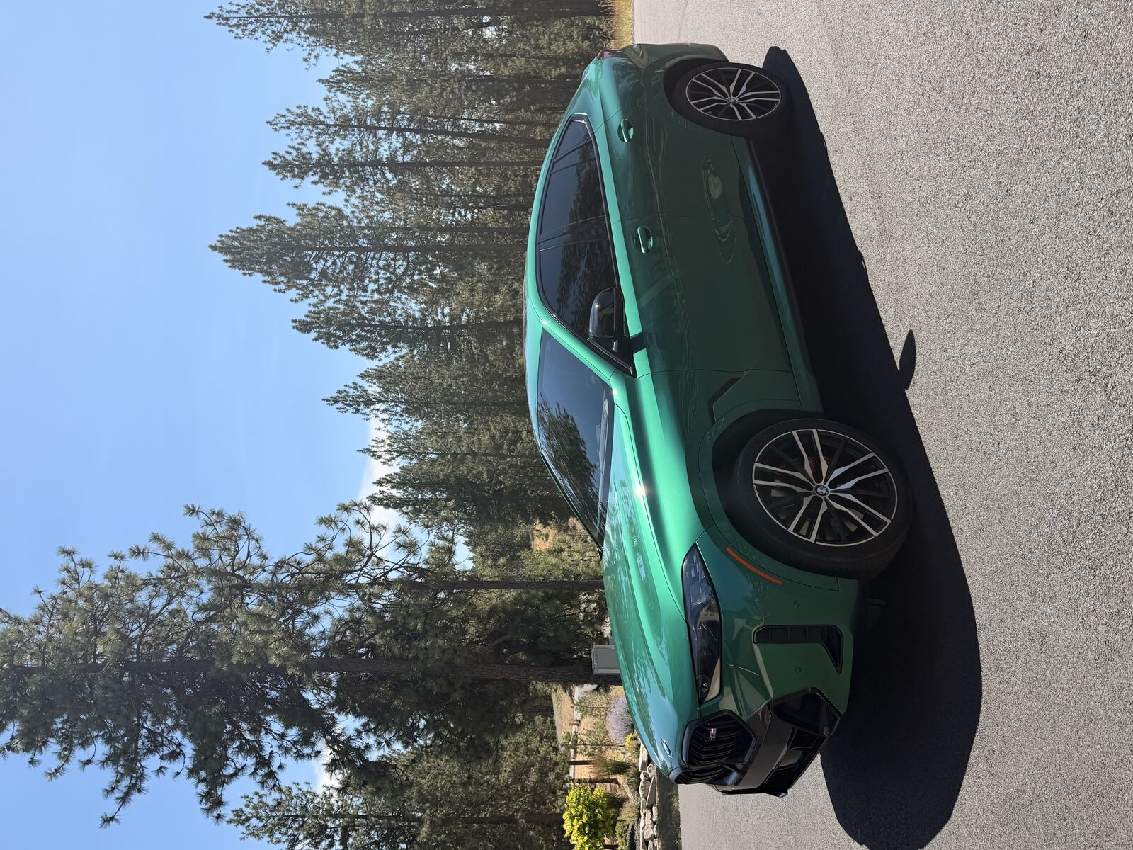 2024 BMW X6
