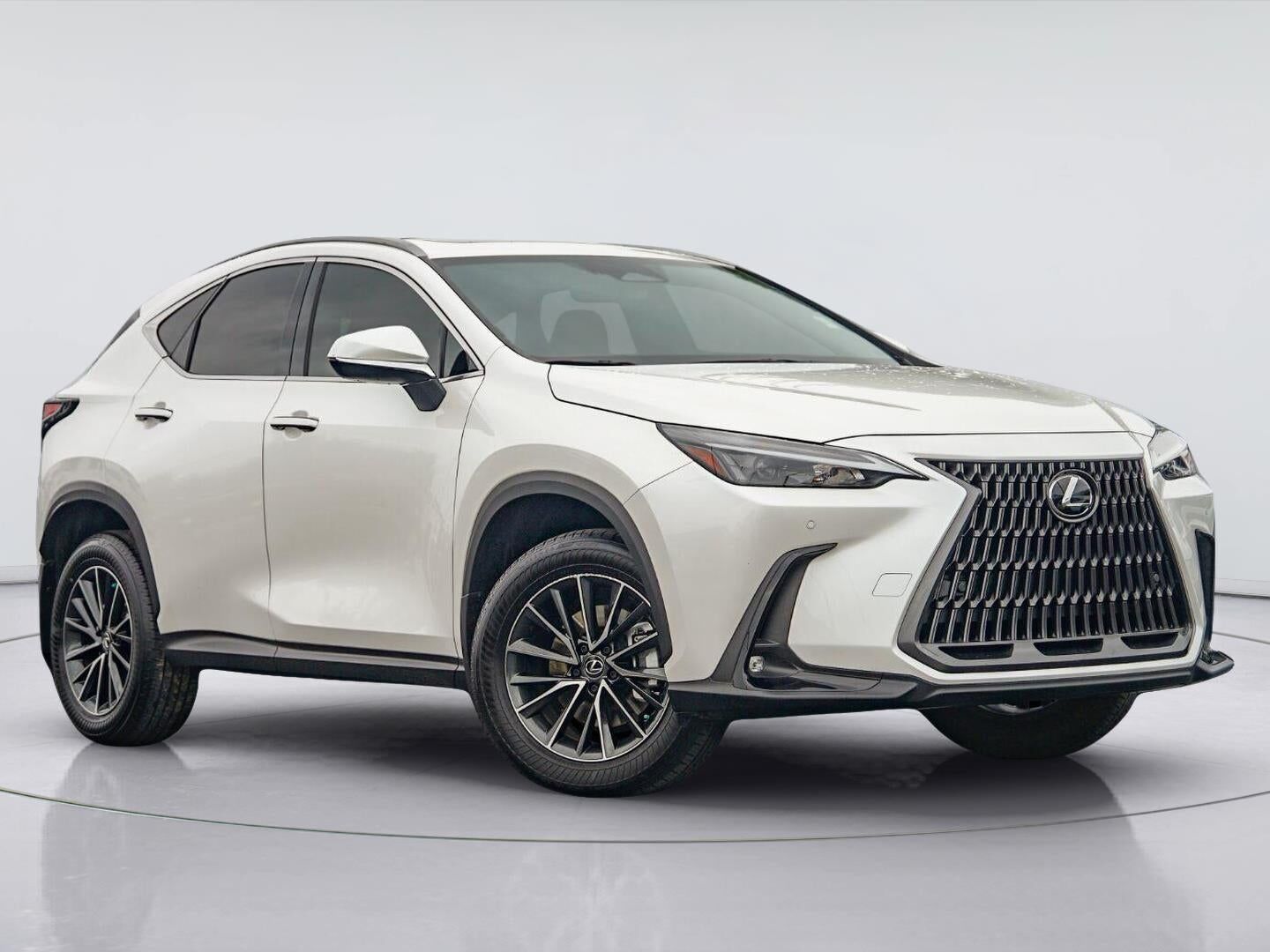 2025 LEXUS NX
