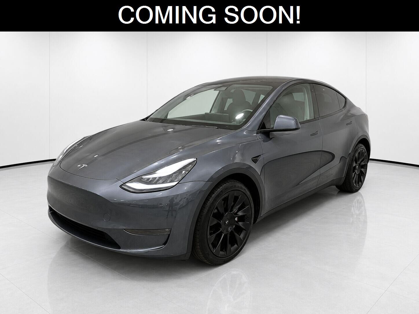 2020 TESLA Model Y