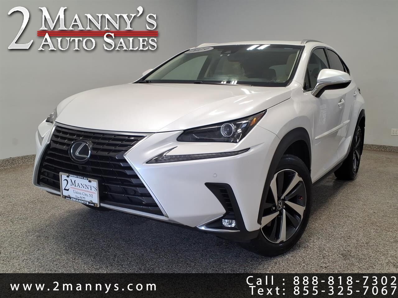 2019 LEXUS NX
