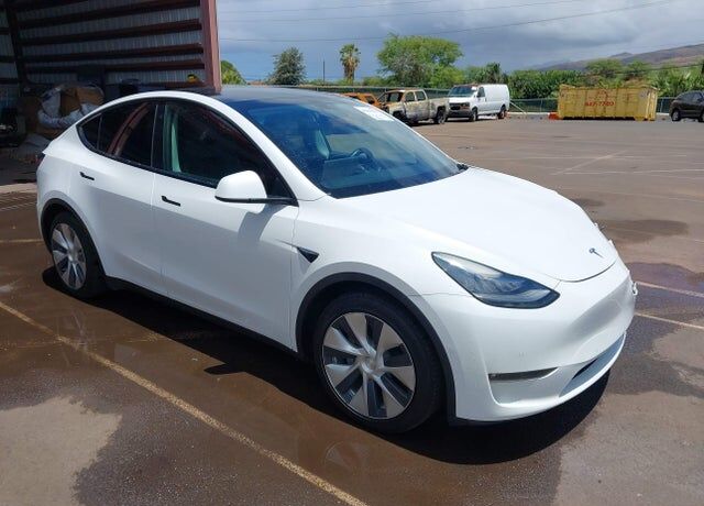 2021 TESLA Model Y
