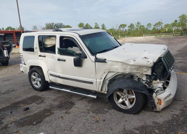 2010 JEEP Liberty