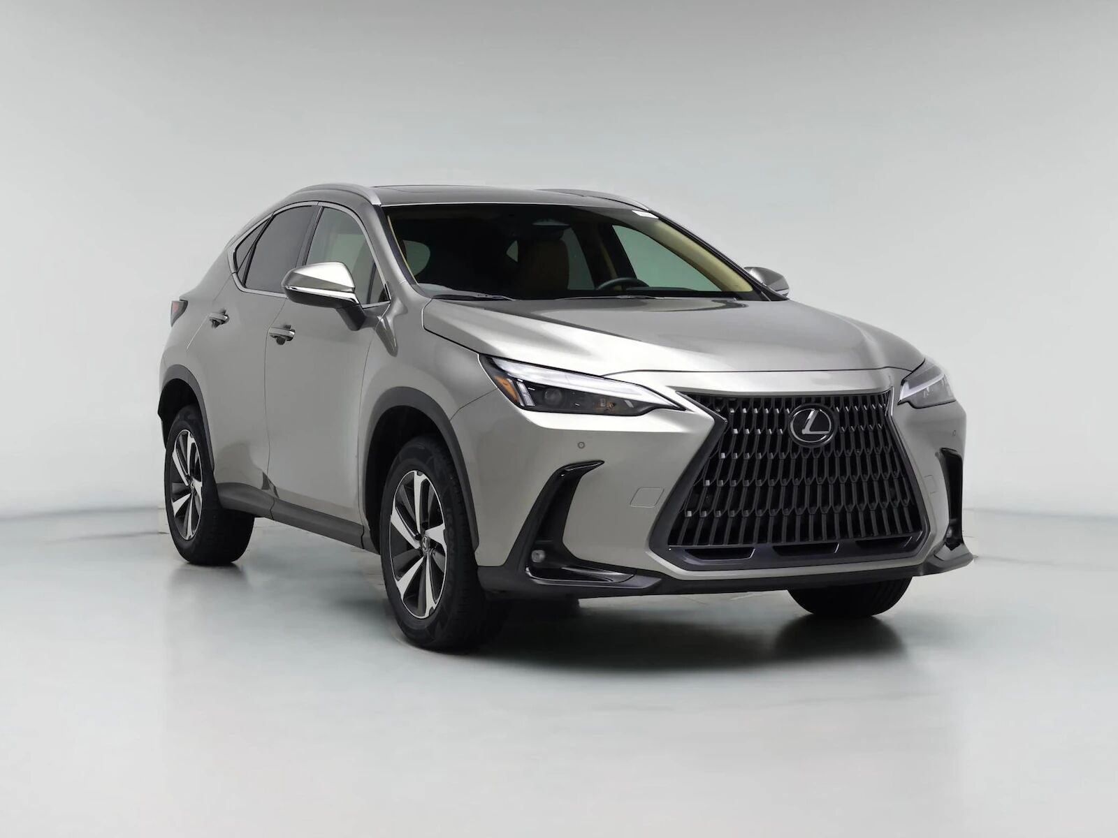2024 LEXUS NX