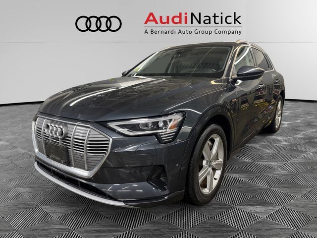 2019 AUDI e-tron
