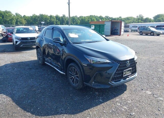 2024 LEXUS NX
