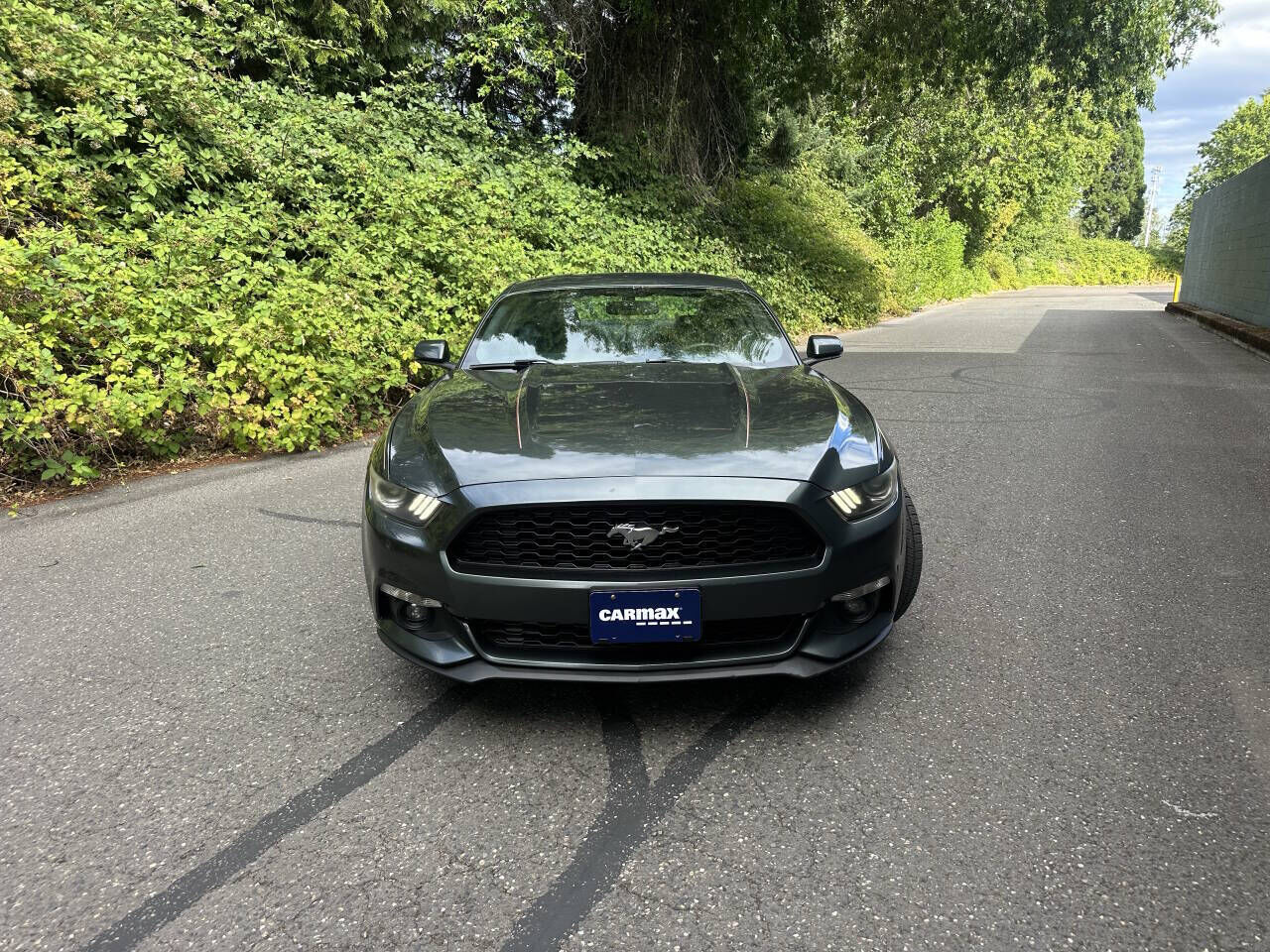 2015 FORD Mustang