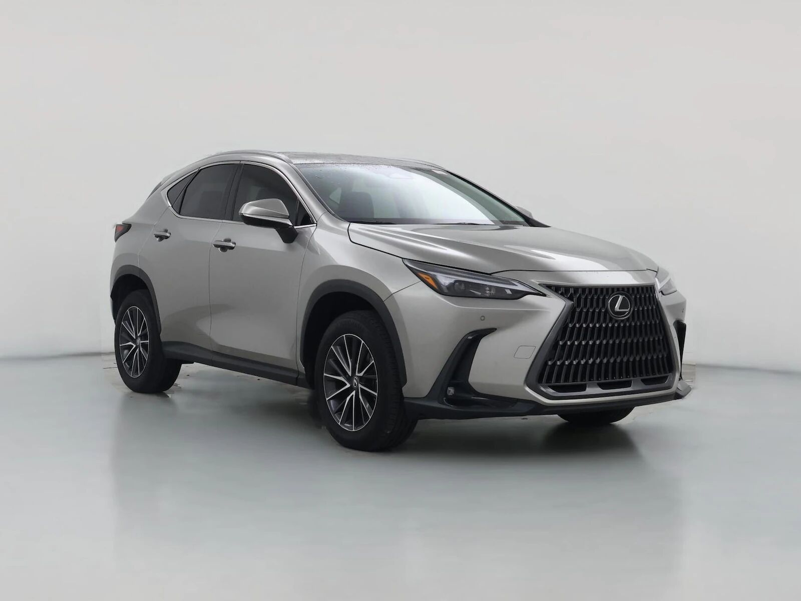 2024 LEXUS NX