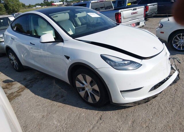 2021 TESLA Model Y