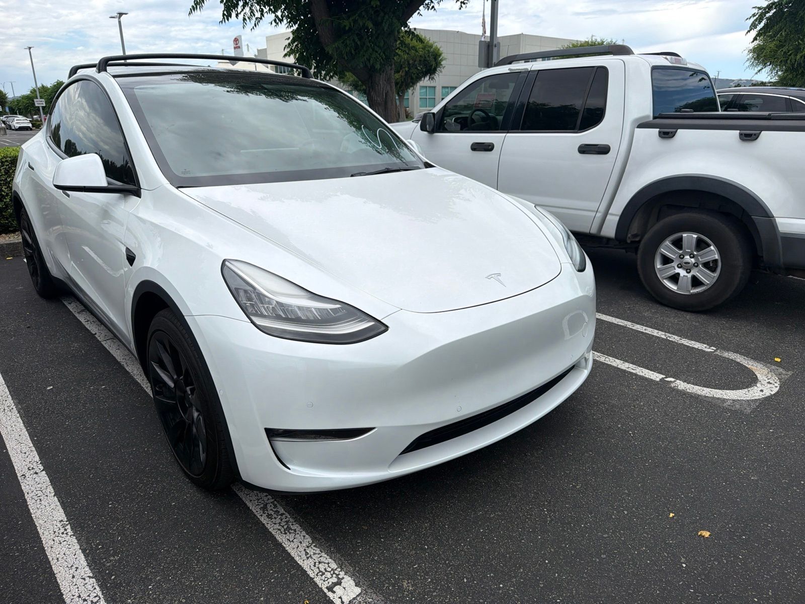 2021 TESLA Model Y