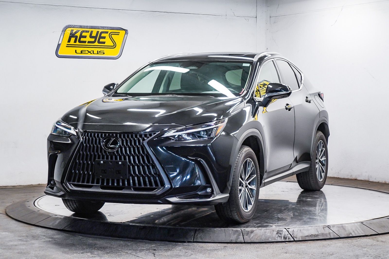 2025 LEXUS NX