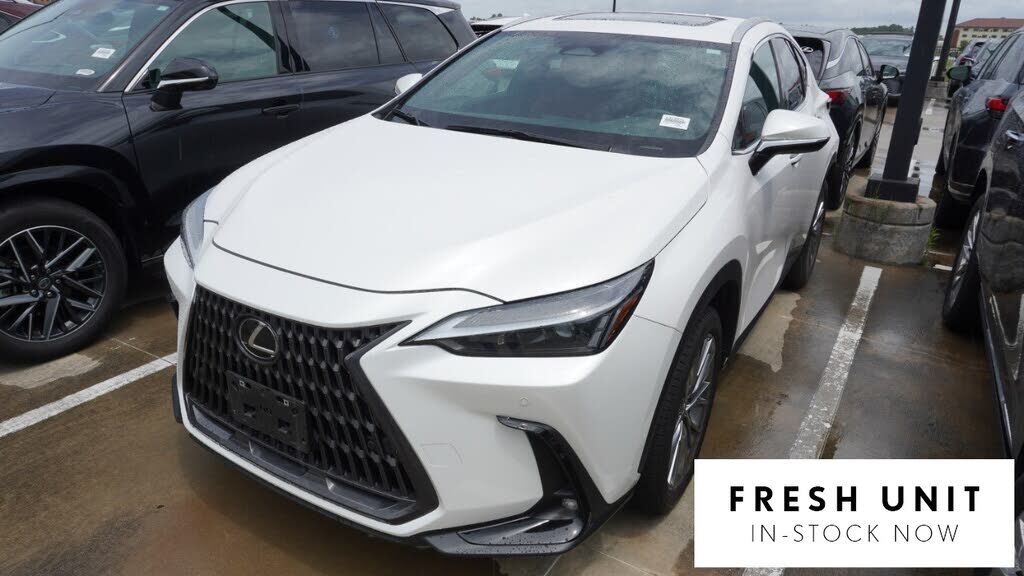 2025 LEXUS NX