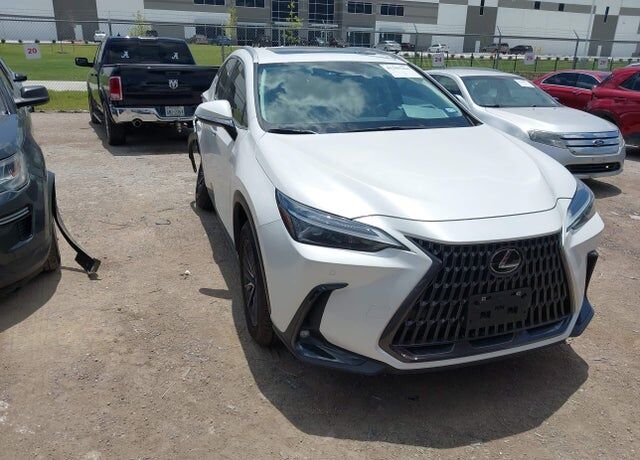 2024 LEXUS NX