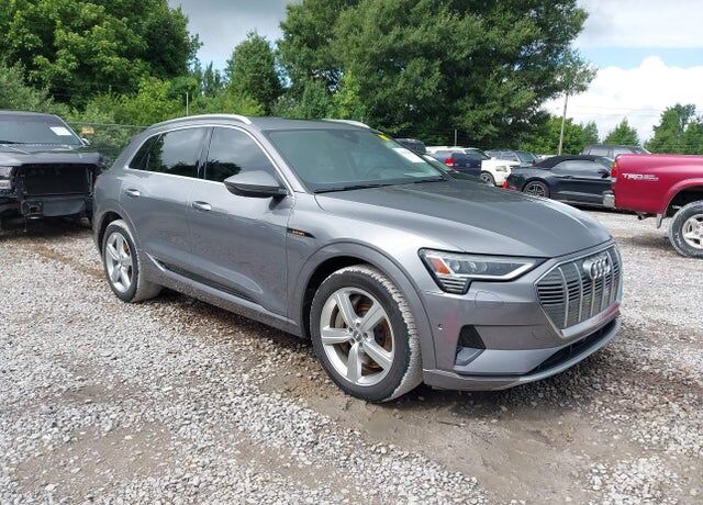 2019 AUDI e-tron