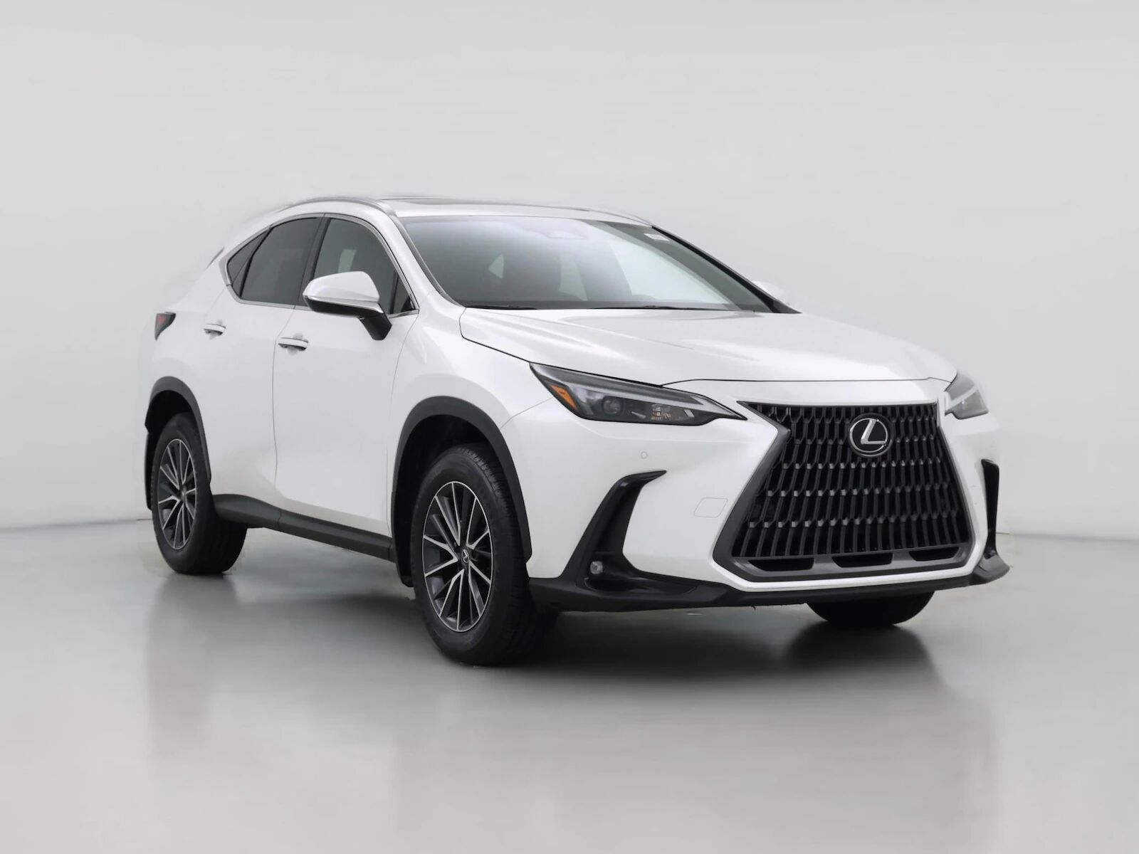 2024 LEXUS NX