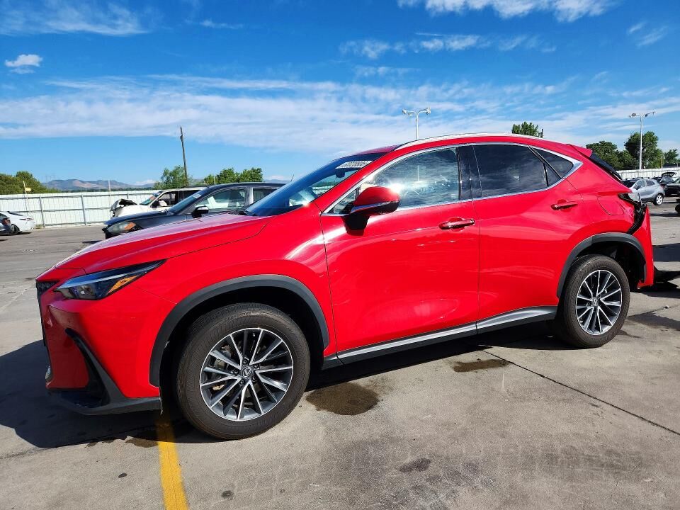 2024 LEXUS NX