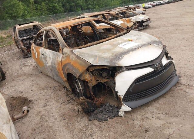 2019 TOYOTA Corolla