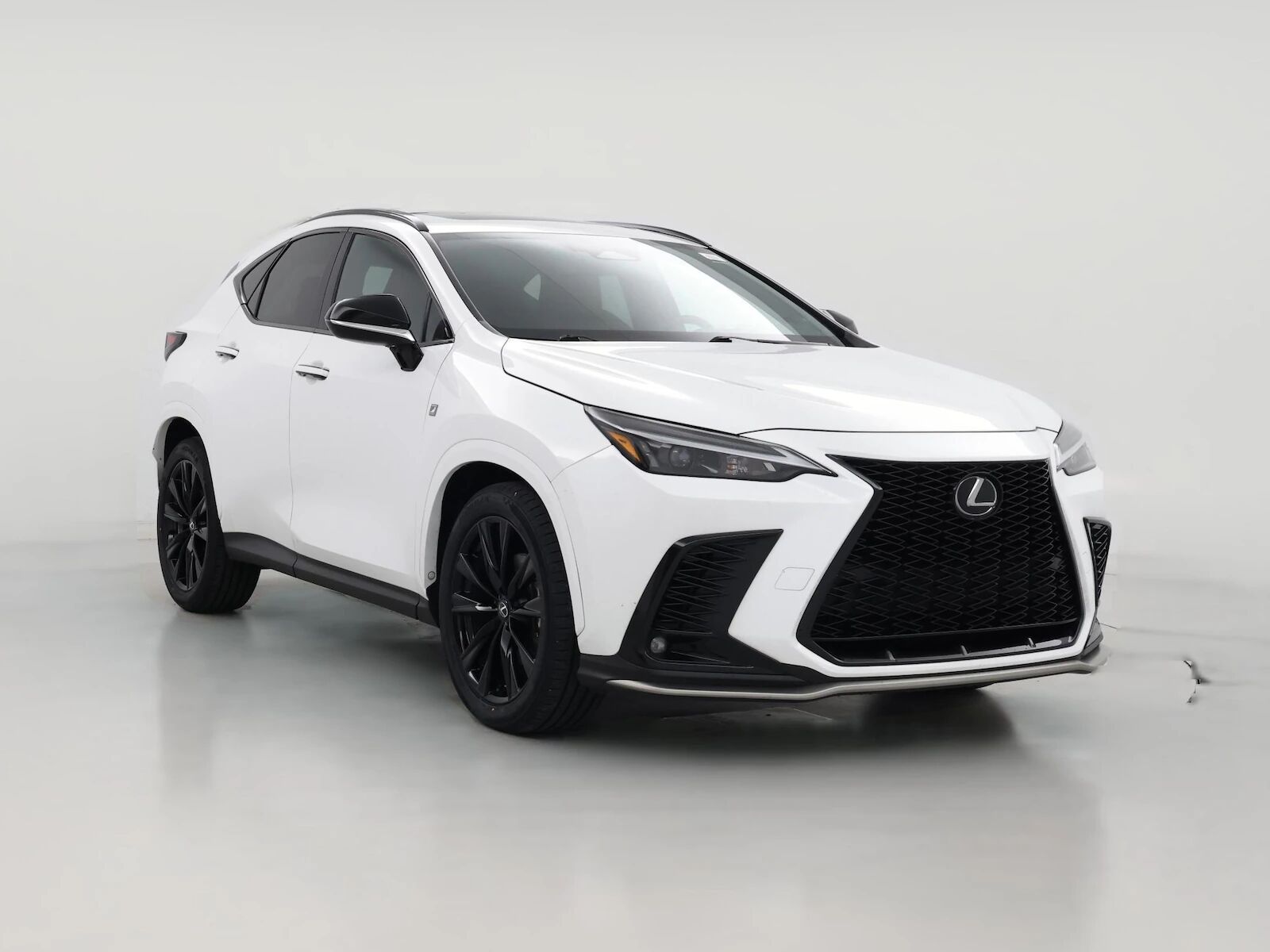2024 LEXUS NX