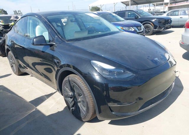 2024 TESLA Model Y