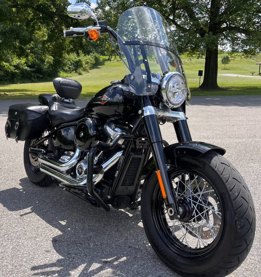 2019 HARLEY DAVIDSON FLSL / Softail Slim