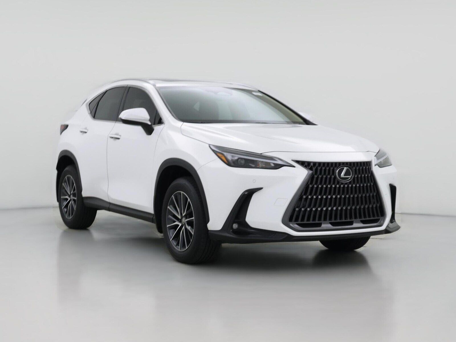 2026 LEXUS NX
