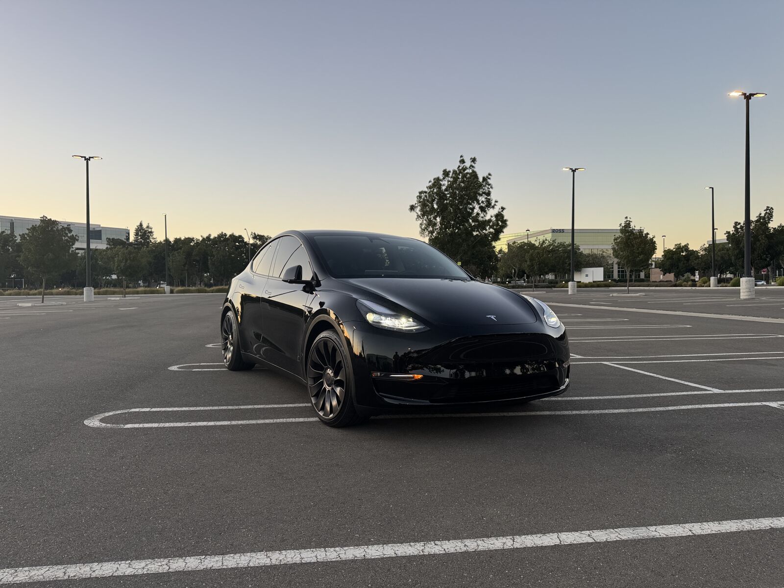 2024 TESLA Model Y