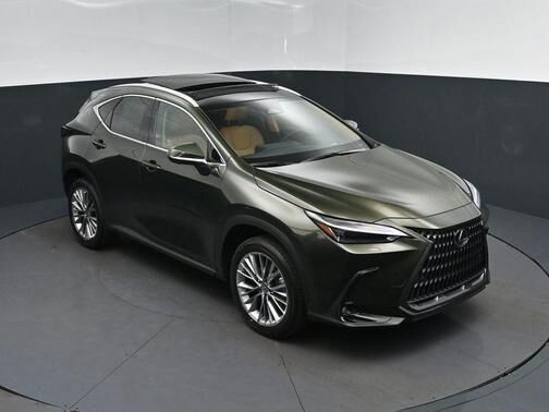 2026 LEXUS NX