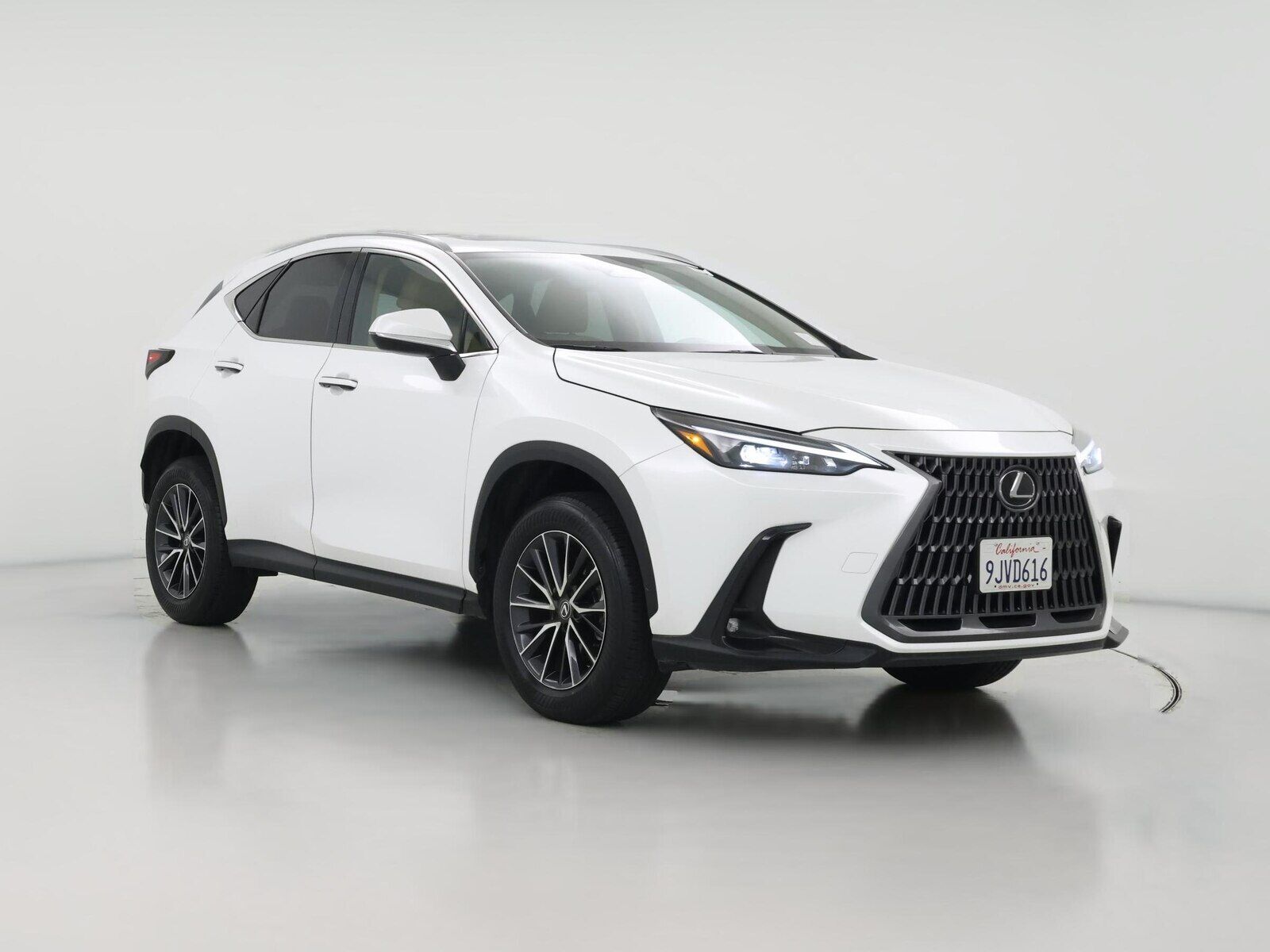 2024 LEXUS NX