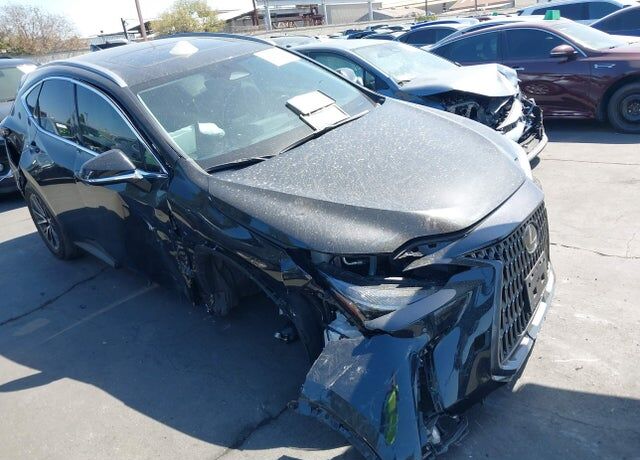 2024 LEXUS NX