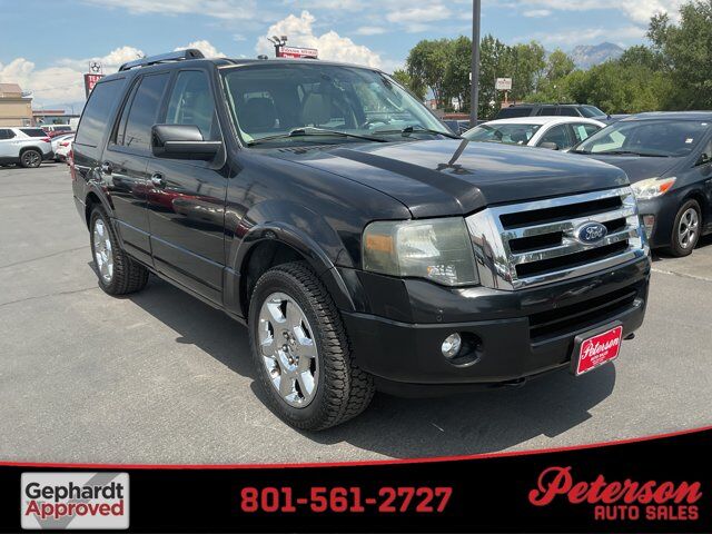 2013 FORD Expedition