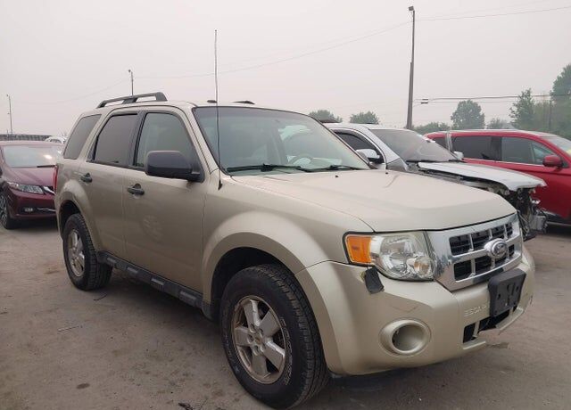 2010 FORD Escape