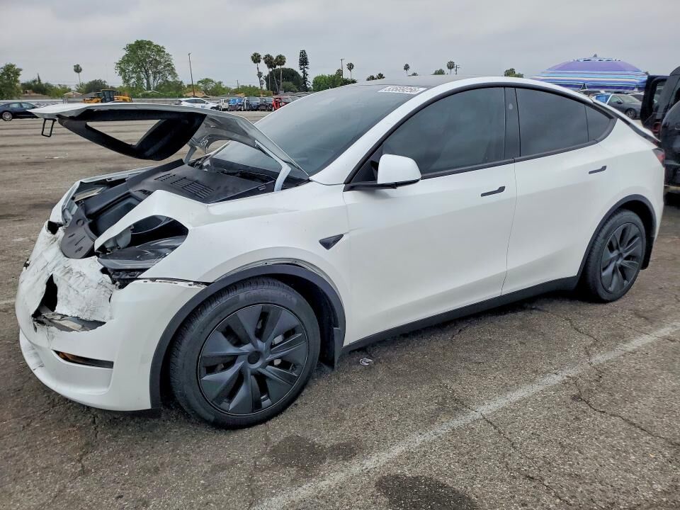 2024 TESLA Model Y