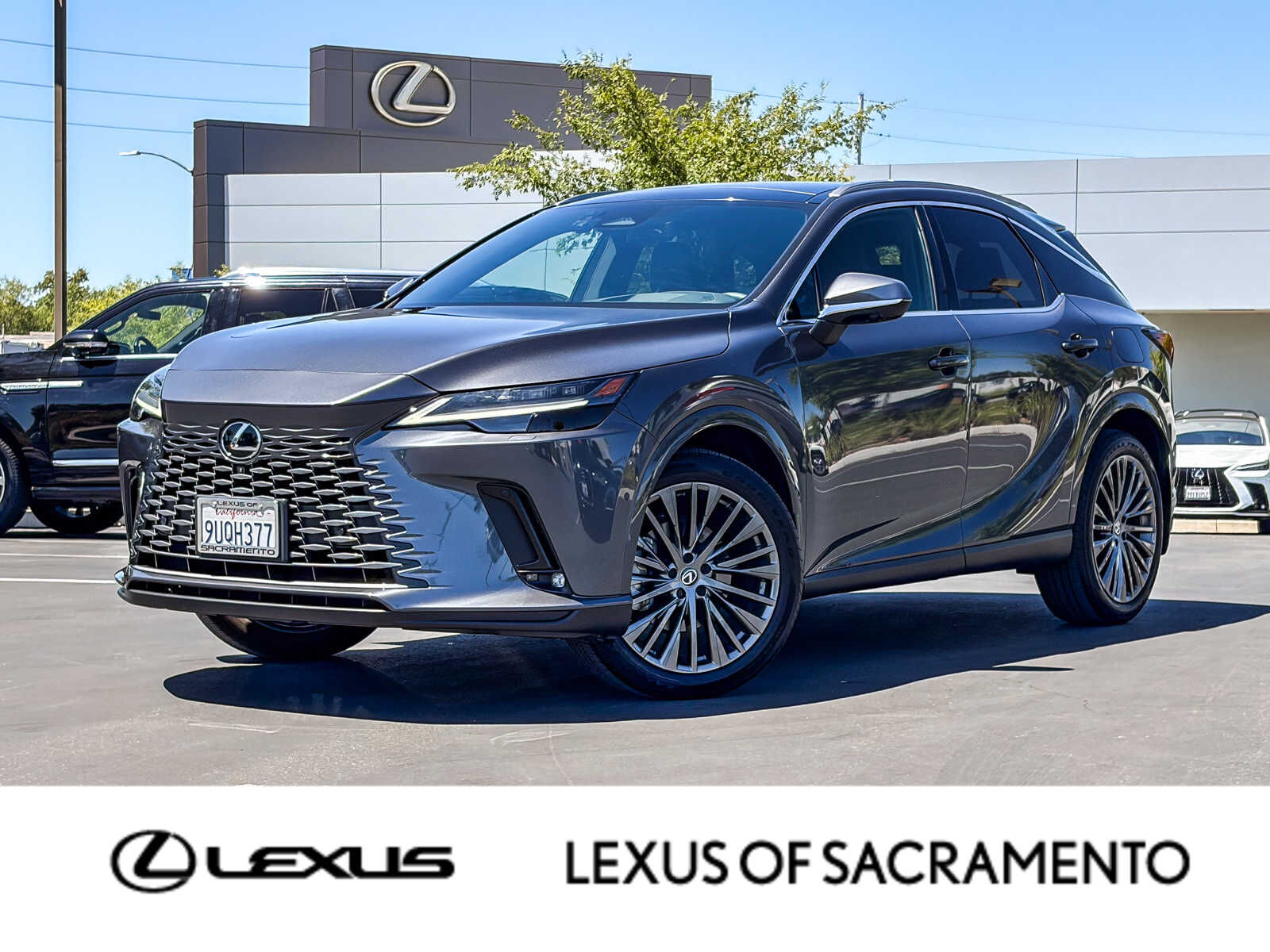 2025 LEXUS RX