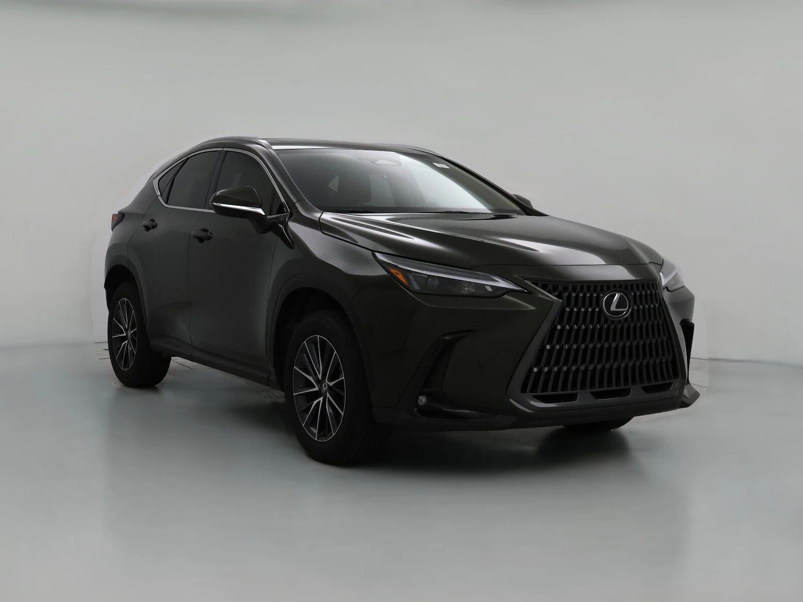 2024 LEXUS NX