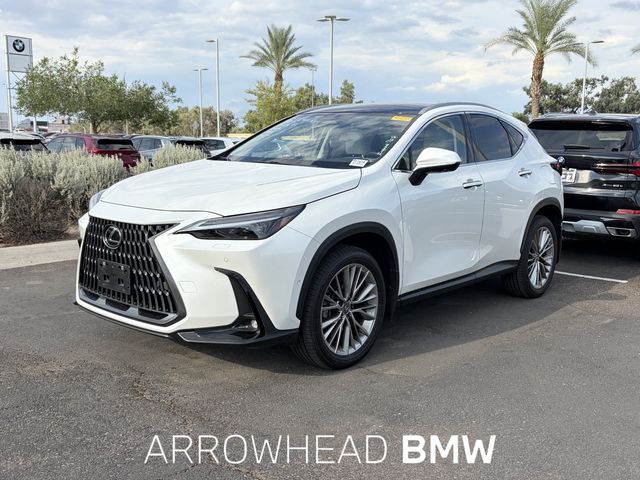 2025 LEXUS NX