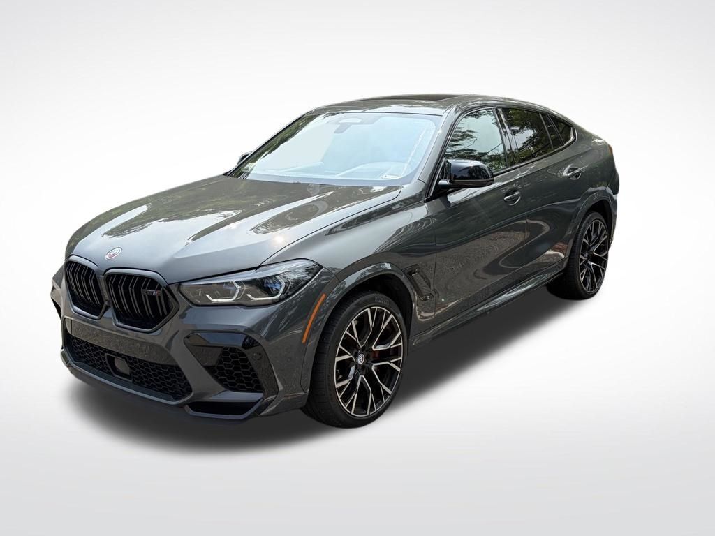 2023 BMW X6
