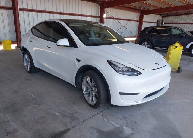 2020 TESLA Model Y