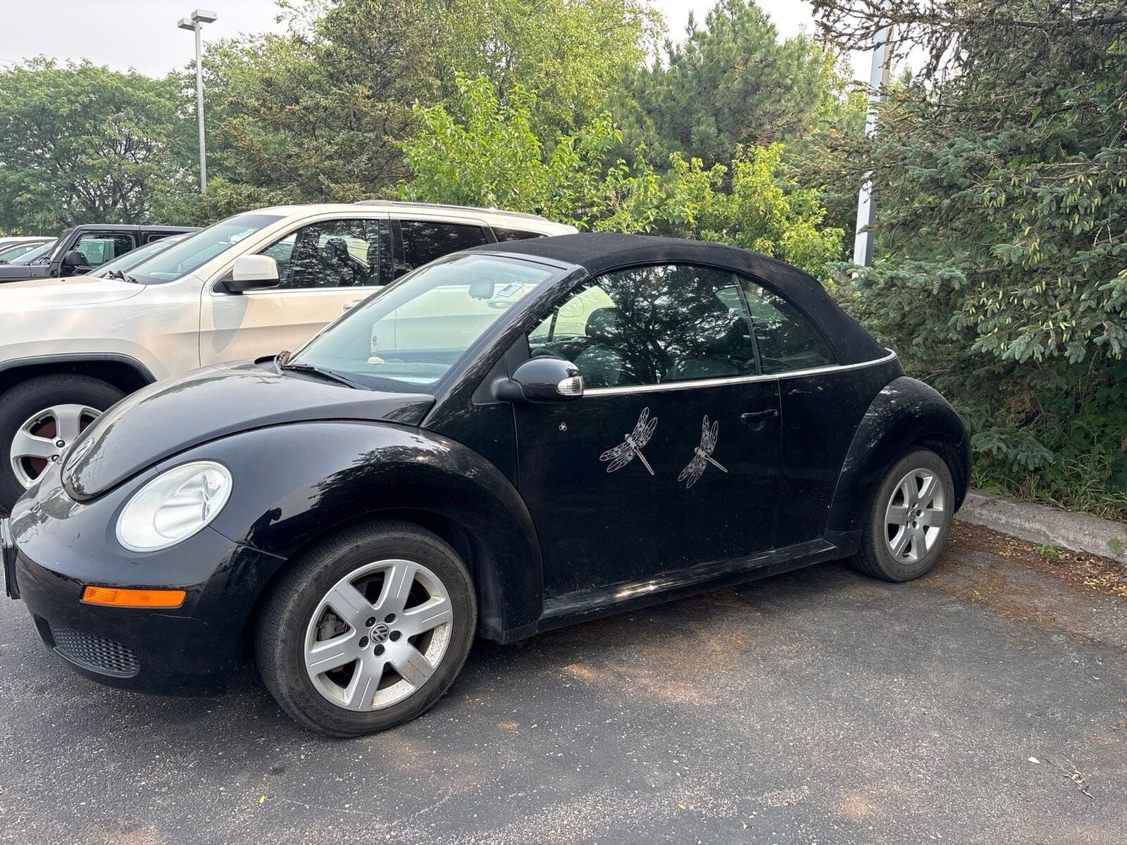 2007 VOLKSWAGEN Beetle