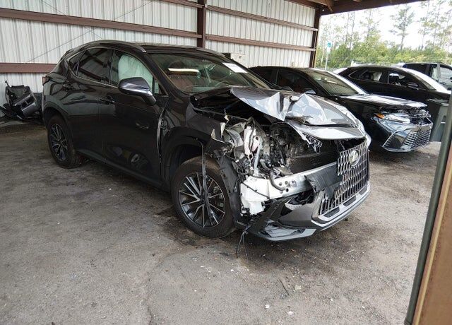 2024 LEXUS NX