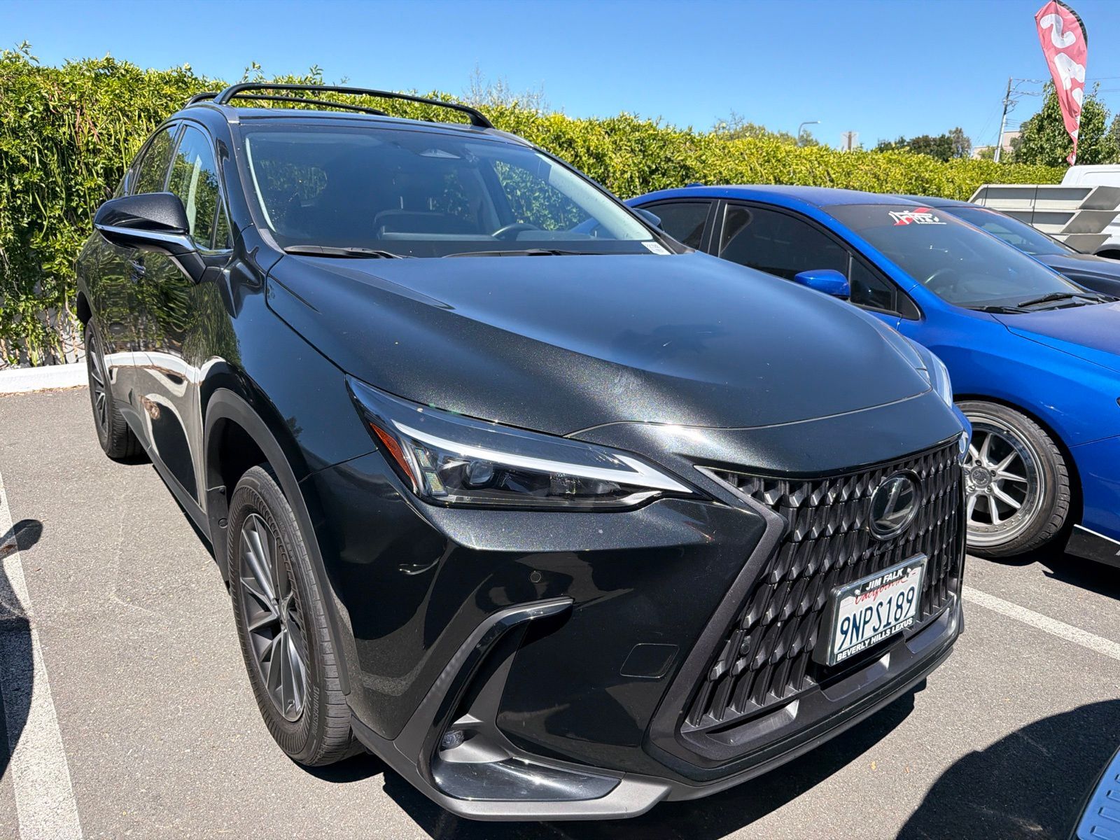 2025 LEXUS NX