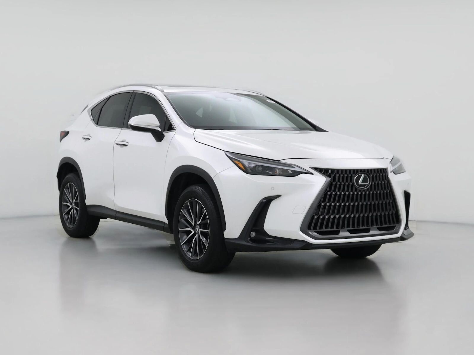 2024 LEXUS NX