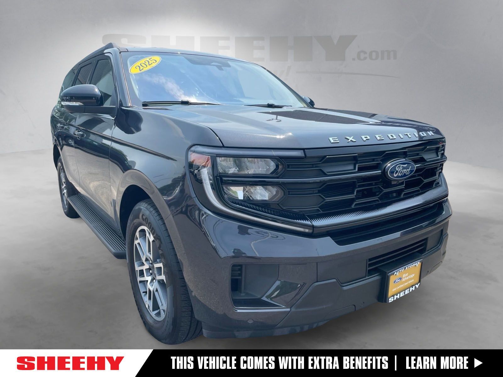 2025 FORD Expedition