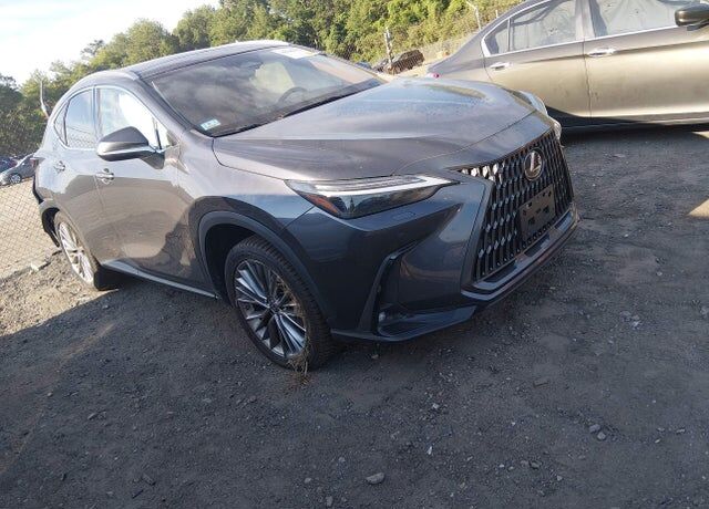 2022 LEXUS NX