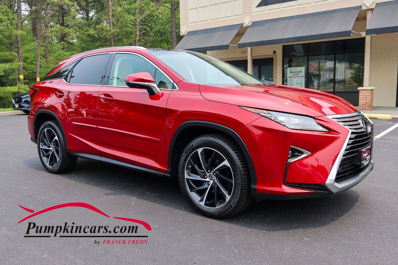 2018 LEXUS RX